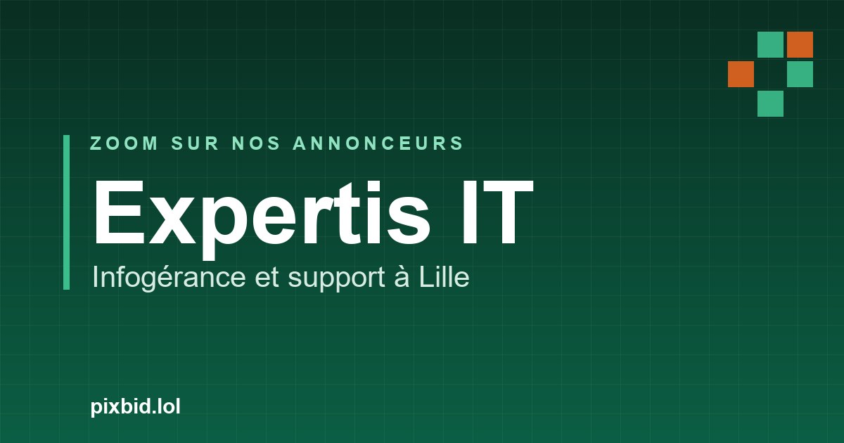 Expertis IT : l'infogérance et le support informatique des TPE-PME à Lille